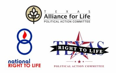 Moran Earns Major Pro-Life Endorsements in Race for Congressional District 1